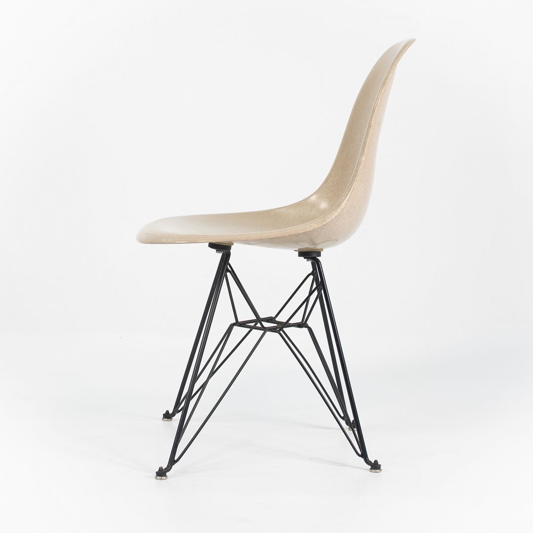 2010s Set of Three Modernica Fiberglass DSR Chairs Oatmeal w/ Black Eiffel Bases
