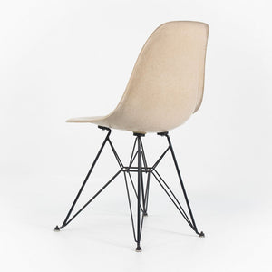 2010s Set of Three Modernica Fiberglass DSR Chairs Oatmeal w/ Black Eiffel Bases