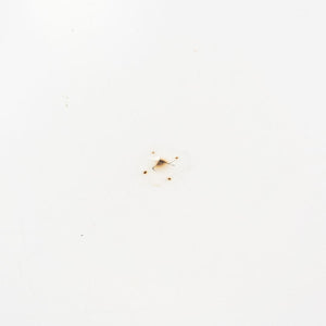 1974 Eero Saarinen for Knoll 36 inch Round Coffee Table in White Laminate