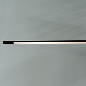 2019 THIN Floor Lamp by Peter Bristol Juniper Design Cast Iron Blk Oxide Finish