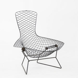 1960s Harry Bertoia for Knoll Bird Lounge Chair in Black Welded Steel Frame