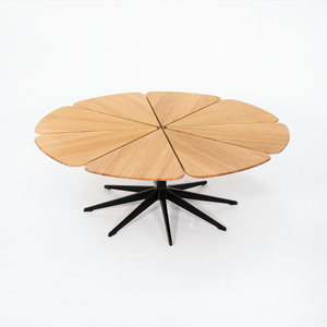 SOLD 2010s Petal Coffee Table by Richard Schultz for Knoll