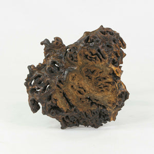 SOLD Mira Nakashima Claro Walnut Burl Minguren I Side Table George Nakashima Studio