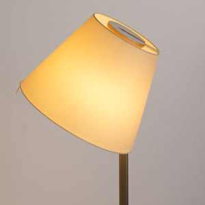 SOLD Artemide Melampo Floor Lamp by Adrien Gardere